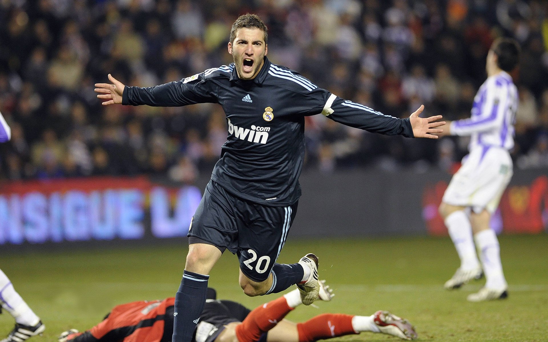 日本武道馆举办大型空手道比赛，日本空手道比赛规则